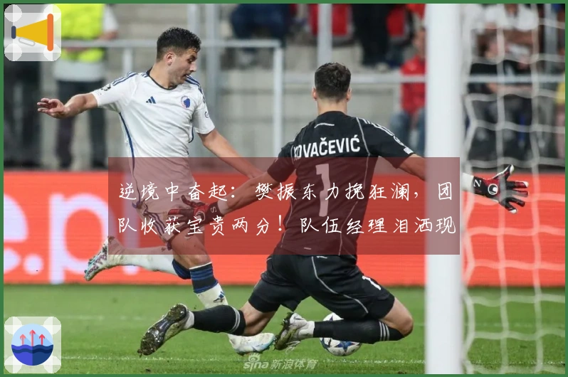 逆境中奋起：樊振东力挽狂澜，团队收获宝贵两分！队伍经理泪洒现场！
