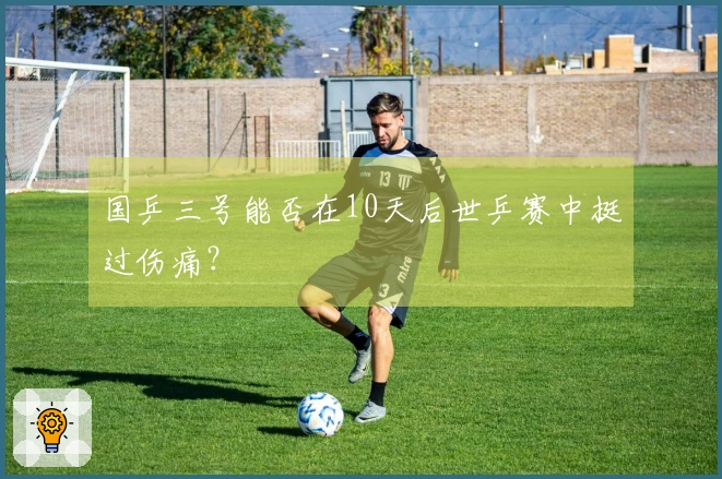 国乒三号能否在10天后世乒赛中挺过伤痛？