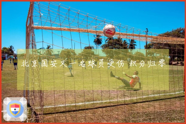 北京国安又一名球员受伤 积分归零
